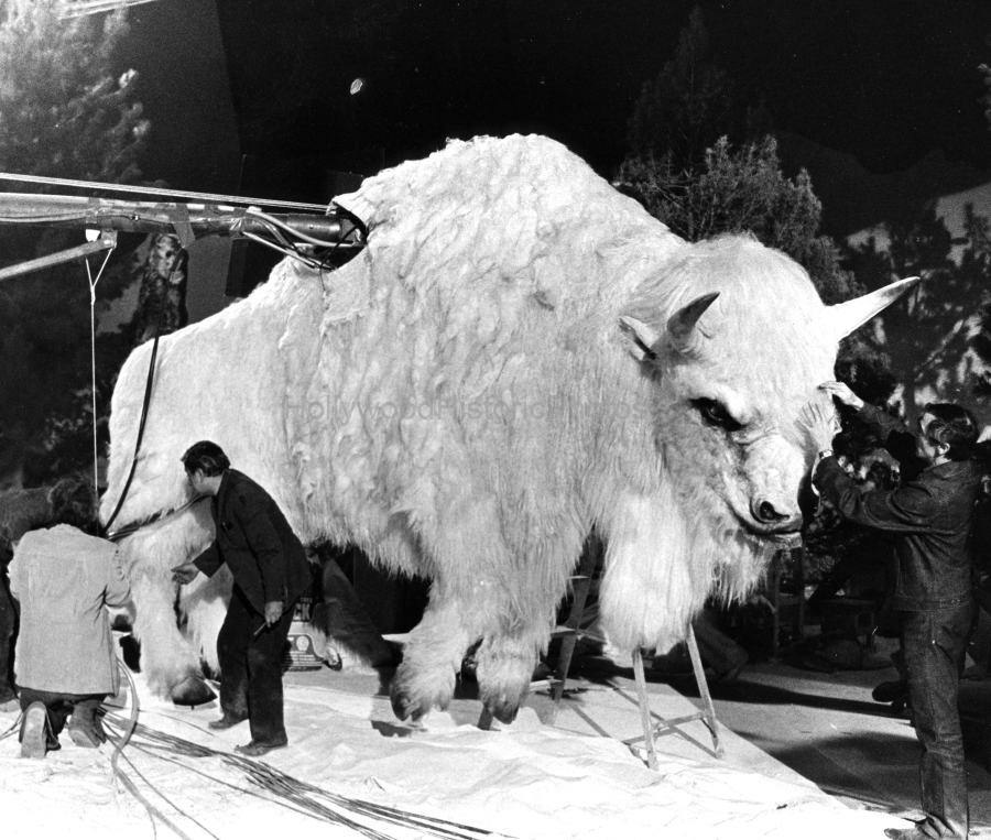 The White Buffalo 1977 WM.jpg